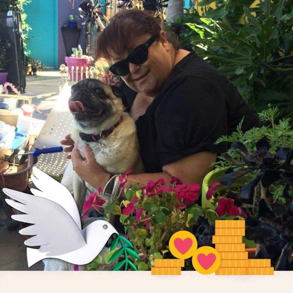 Meet your Posher, Ruth - Picture 1 of 1